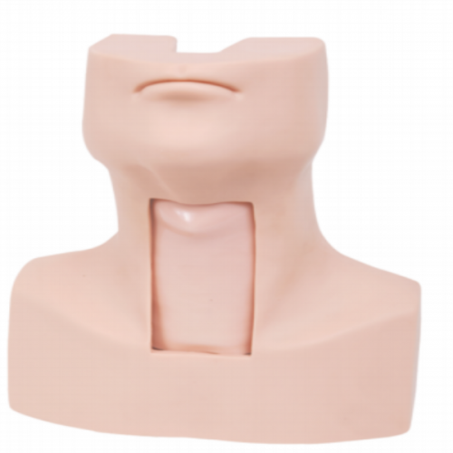 高級環甲（jiǎ）膜穿刺（cì）及氣管切開插管訓練模型