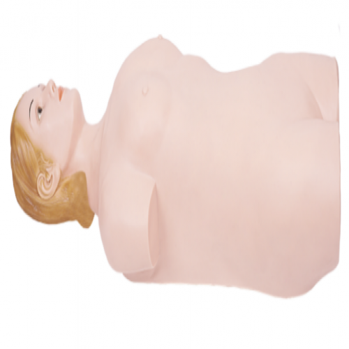 數字遙控式腹部觸診、血壓測量模擬人（單機版）