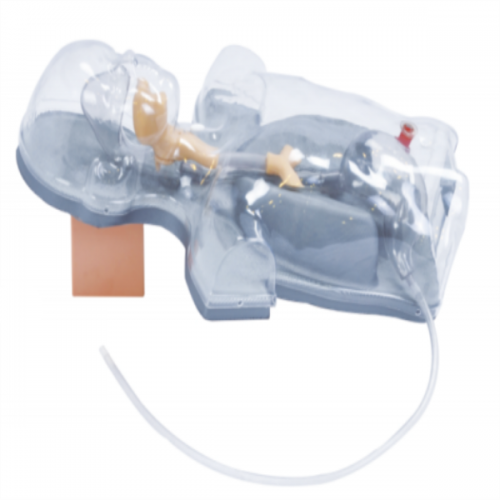 小（xiǎo）兒多功能透明（míng）鼻飼及洗胃模型