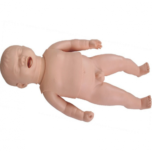 新生兒生長（zhǎng）指標評定及護理訓練模型