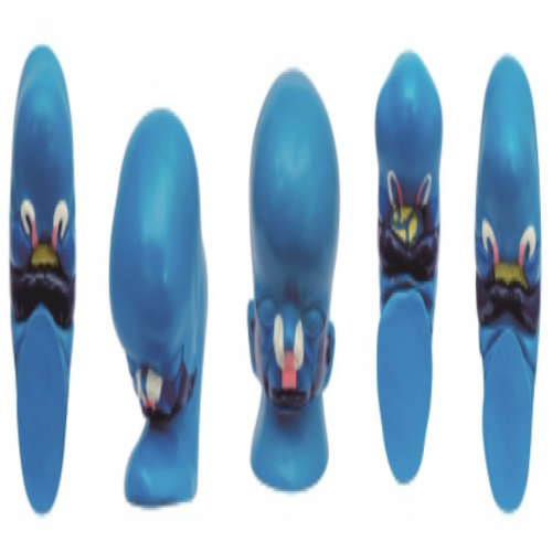 顏麵發生模型（5部（bù）件）