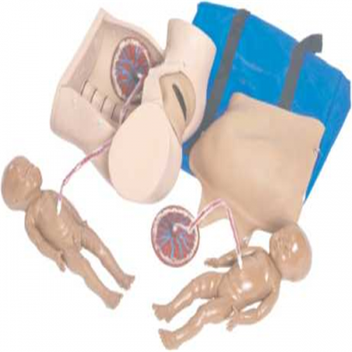 高級分娩綜（zōng）合（hé）技能訓（xùn）練模型