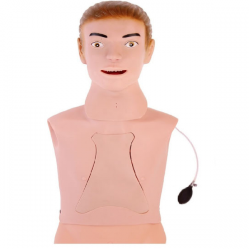 高級鼻飼管與（yǔ）氣管護理模型