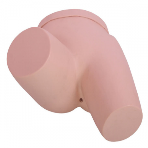 灌腸操作模（mó）型