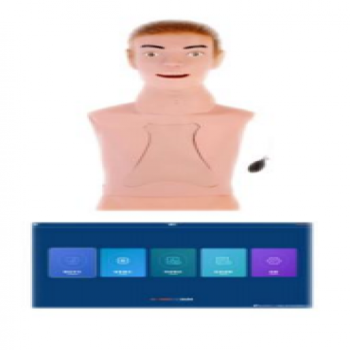 高級鼻胃管插管訓（xùn）練模型（軟件版）