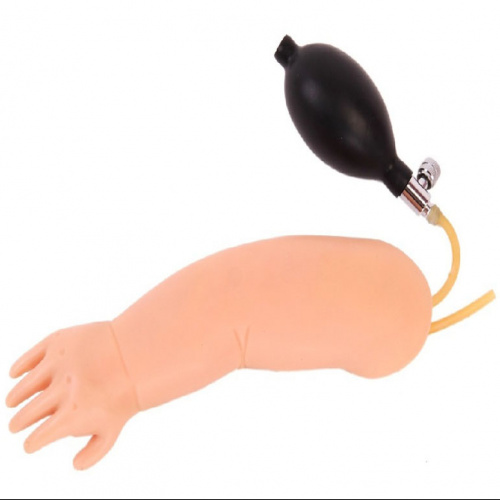 高級嬰兒動（dòng）脈穿刺訓練手臂模型