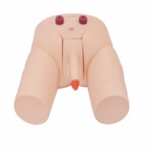 性病檢查操作模型（xíng）