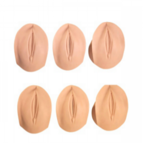 產前宮（gōng）頸變化與產道關係模型