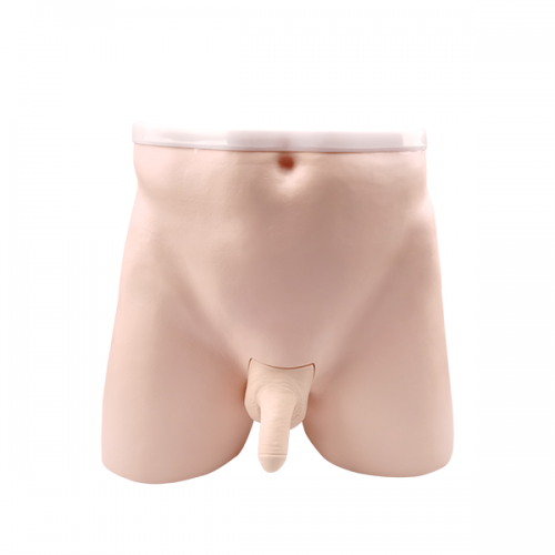 輸精管結紮術訓練模型