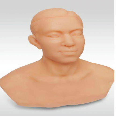 針（zhēn）灸頭部訓練模型