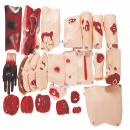 43部（bù）件創傷評（píng）估模塊