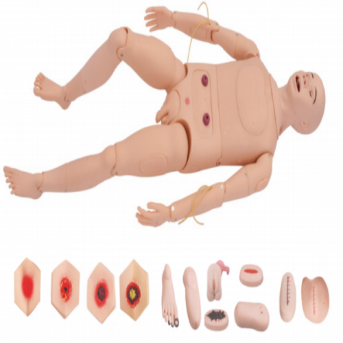 高級全功能護理人訓練（liàn）模型（男性）