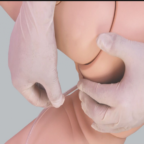 小兒灌腸模（mó）型