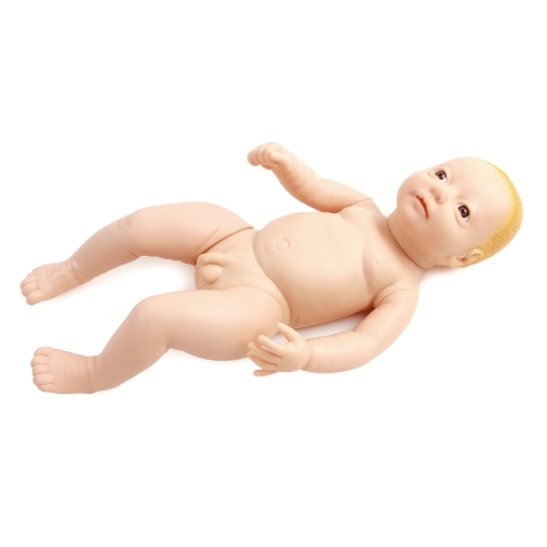 高級出（chū）生嬰兒模型