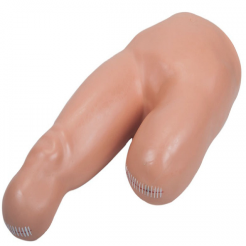 高級低位（wèi）包紮模型